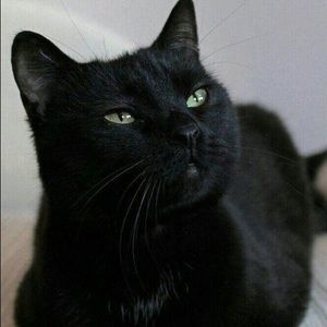 Meet your Posher, Marilyn